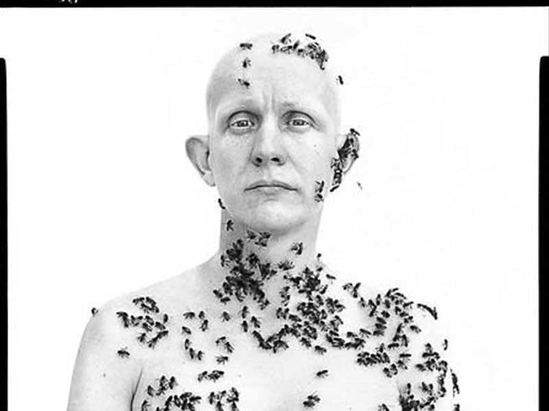 The Bee Man By Richard Avedon - Amen Bee Products